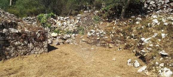 Casa de 2 dormitorios en Chao de Couce, Portugal No. 19476 15