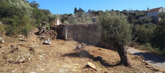 Casa de 2 dormitorios en Chao de Couce, Portugal No. 19476 11