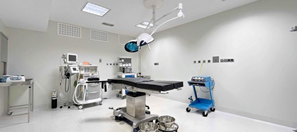 463m² Commercial property in Perillo, Spain No. 49704 31