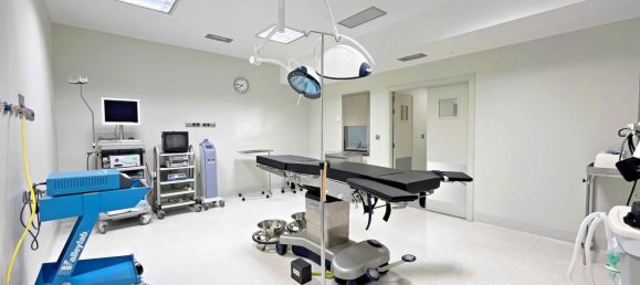 463m² Commercial property in Perillo, Spain No. 49704 18