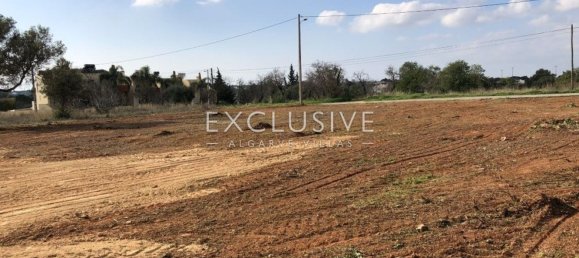 6467m² Land in Almancil, Portugal No. 145987 12