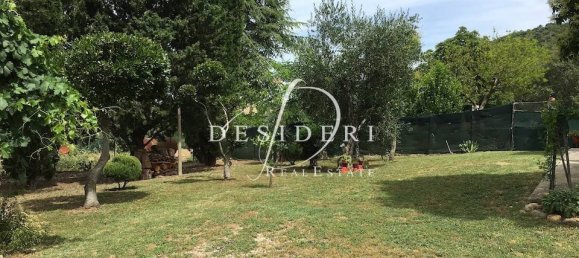 Gewerbliche Immobilie in Cinigiano, Italy 170m², Nr. 203887 3