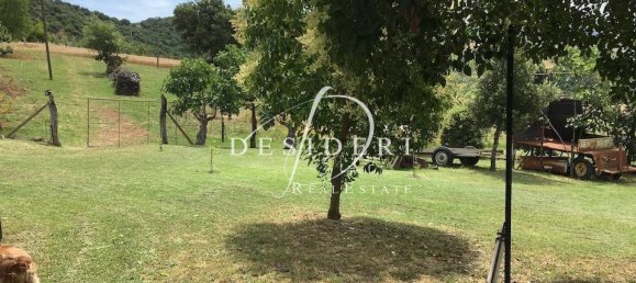 Gewerbliche Immobilie in Cinigiano, Italy 170m², Nr. 203887 8