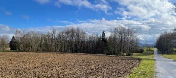 1-Zimmer Grundstück in Bayern, Germany, Nr. 188441 7