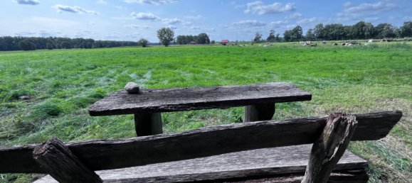 6 غرف نوم مزرعة في Gifhorn, Germany رقم 180505 2