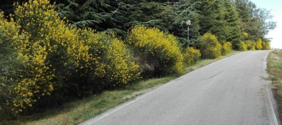 4 rooms Villa in Montescudo Monte Colombo, Italy No. 200719 24