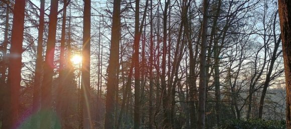 4 rooms Villa in Montescudo Monte Colombo, Italy No. 200719 41