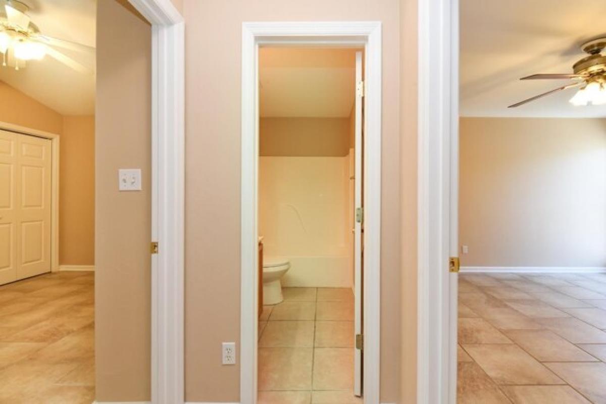 3 bedrooms House in Tallahassee, USA No. 420298