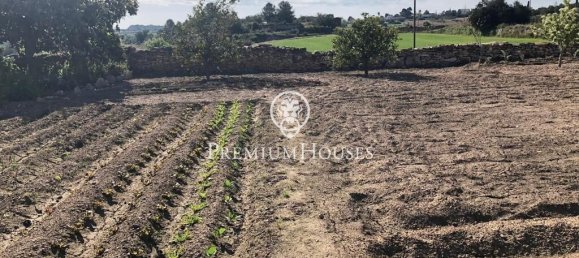 1783m² Land in Tarragona, Spain No. 171029 2