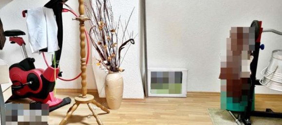 11 rooms House in Saalekreis, Germany No. 33504 50