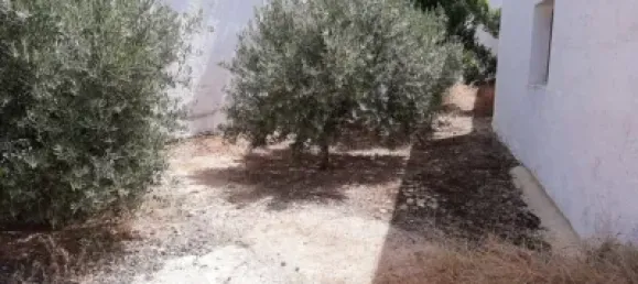 5 bedrooms Townhouse in Ciudad Real, Spain No. 105154 10