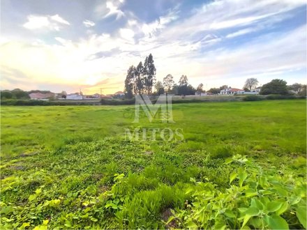6800m² Land in Viana do Castelo, Portugal No. 81439