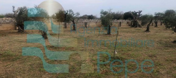 Terreno em Presicce Acquarica, Italy N.º 345838 9