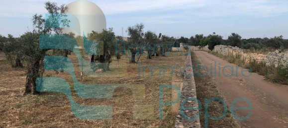 Terreno em Presicce Acquarica, Italy N.º 345838 13