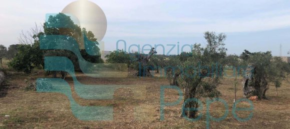 Terreno em Presicce Acquarica, Italy N.º 345838 3