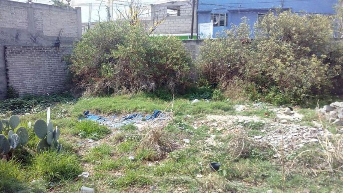  Land in La Paz, Mexico No. 204655