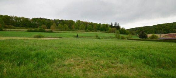 Grundstück in Neustift bei Güssing, Austria 5861m², Nr. 162310 2