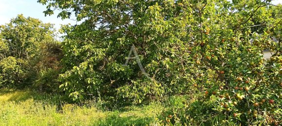 2163m² Land in Saint-Aignan, France No. 254147 5