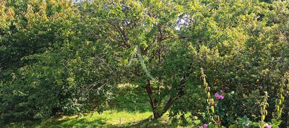 2163m² Land in Saint-Aignan, France No. 254147 3