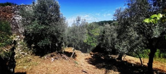 2 Schlafzimmer Haus in Ponte da Barca, Portugal, Nr. 167612 8