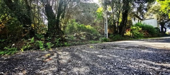 2 Schlafzimmer Haus in Ponte da Barca, Portugal, Nr. 167612 9