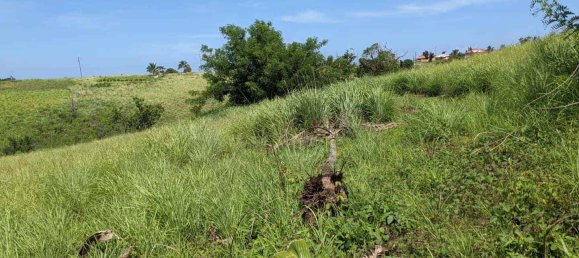 10117m² Hotel in Saint Paul, Dominica No. 38 3