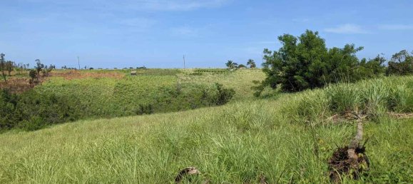 10117m² Hotel in Saint Paul, Dominica No. 38 7