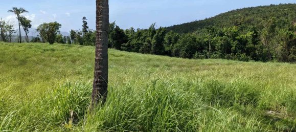 10117m² Hotel in Saint Paul, Dominica No. 38 6