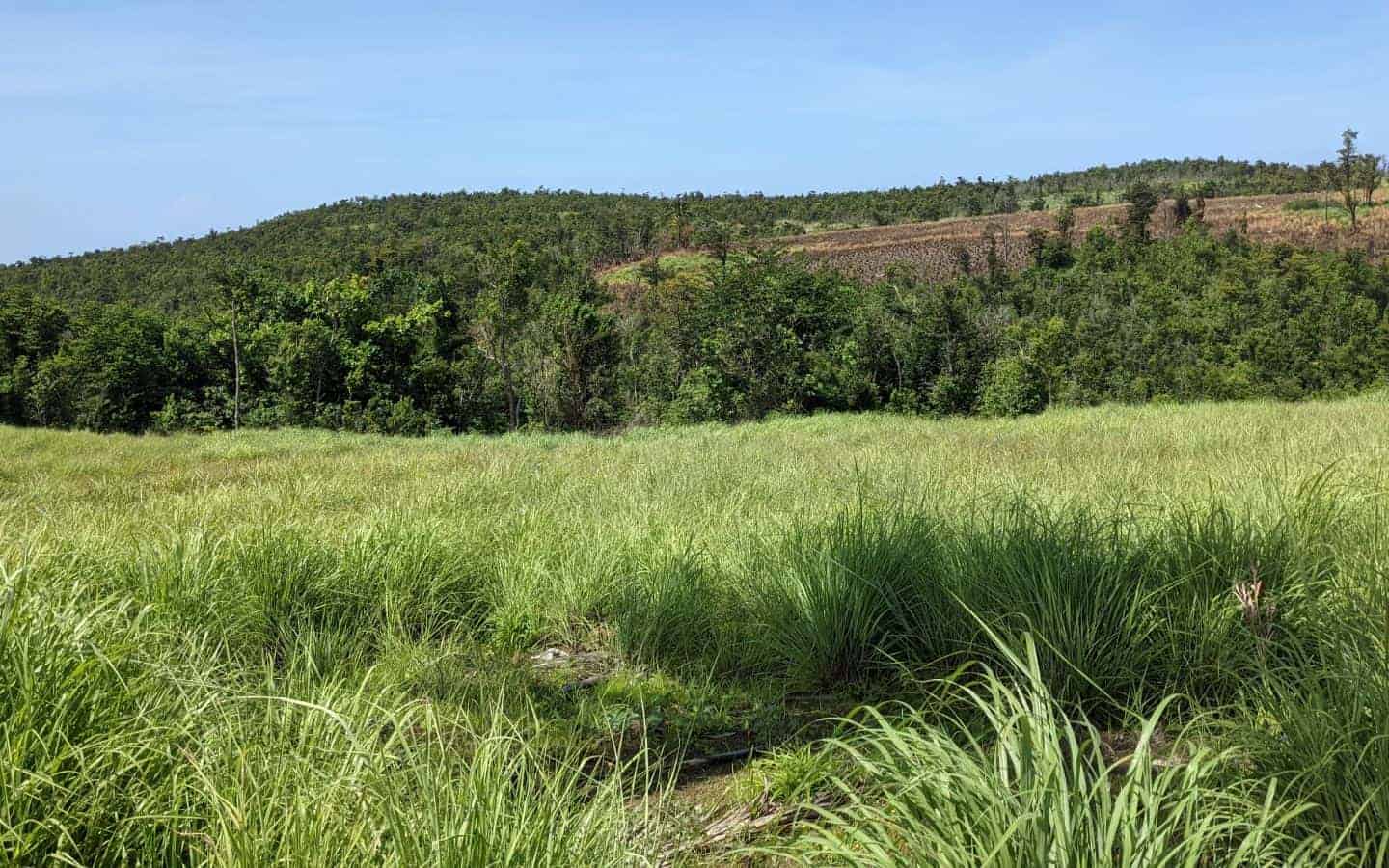 10117m² Hotel in Saint Paul, Dominica No. 38