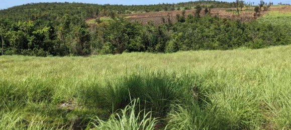 10117m² Hotel in Saint Paul, Dominica No. 38 4