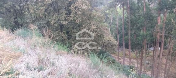 Grundstück in Vila Nova de Famalicao, Portugal 916m², Nr. 33166 3