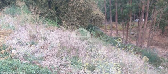 Grundstück in Vila Nova de Famalicao, Portugal 916m², Nr. 33166 4