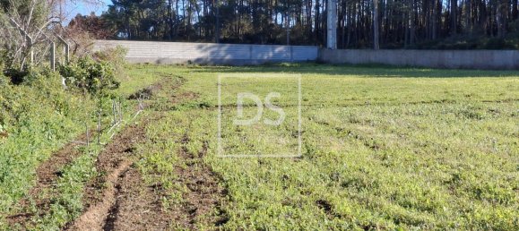 Terreno en Ericeira, Portugal 10937 m² No. 118994 5