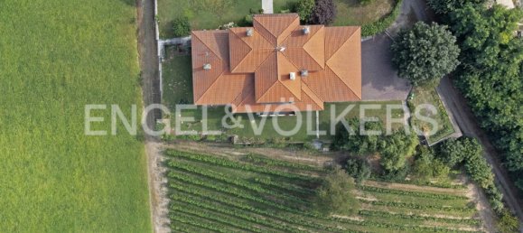 14 rooms Villa in San Marzano Oliveto, Italy No. 109145 44