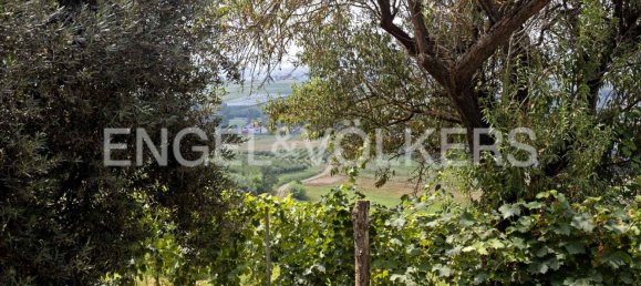 14 rooms Villa in San Marzano Oliveto, Italy No. 109145 37