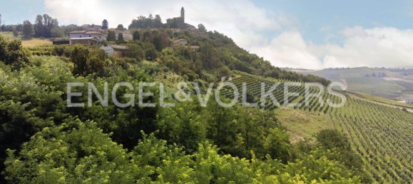 14 rooms Villa in San Marzano Oliveto, Italy No. 109145 46