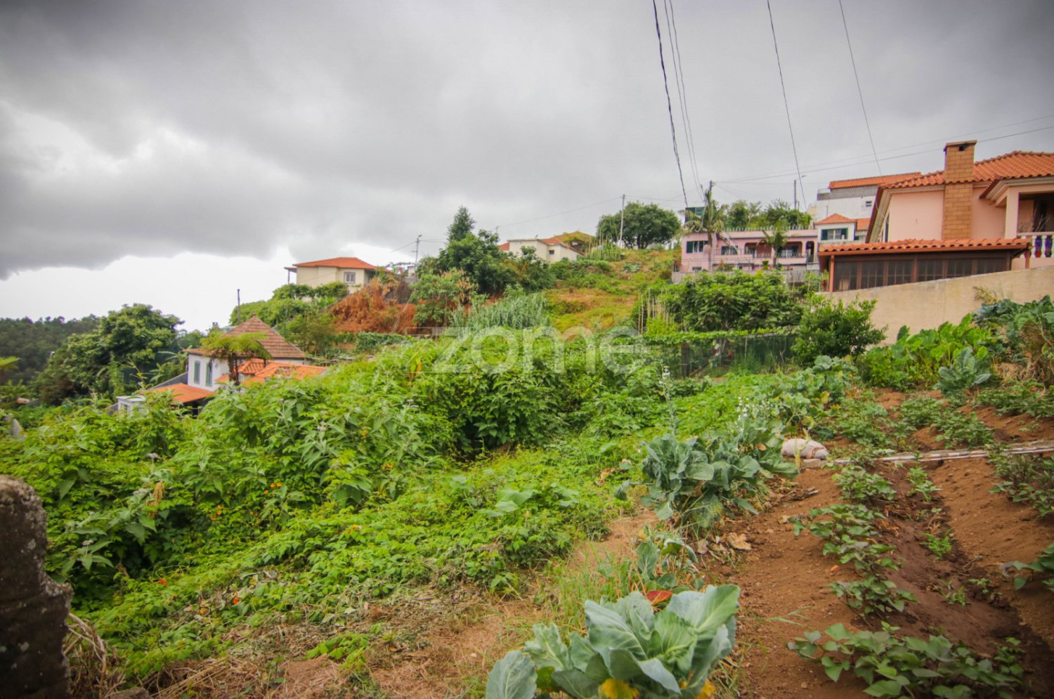  Land in Funchal, Portugal No. 85899