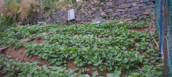  Land in Funchal, Portugal No. 85899 5