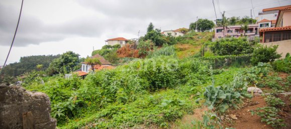  Land in Funchal, Portugal No. 85899 2