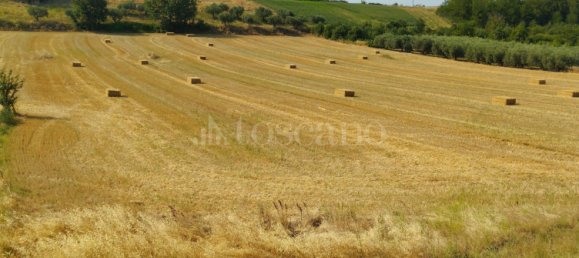 6 rooms House in Loreto Aprutino, Italy No. 279889 12