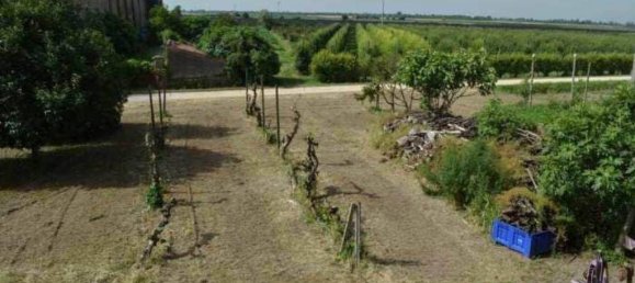 6 bedrooms Villa in Villa Bartolomea, Italy No. 208879 8