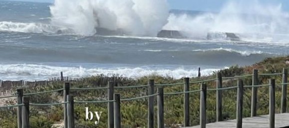 2 غرف نوم فيلا في Arcozelo, Portugal رقم 146789 25