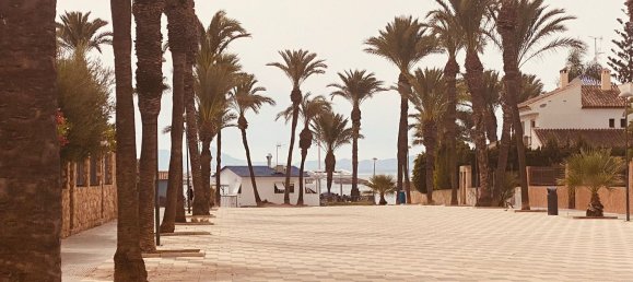 5 bedrooms House in Los Alcazares, Spain No. 149313 8