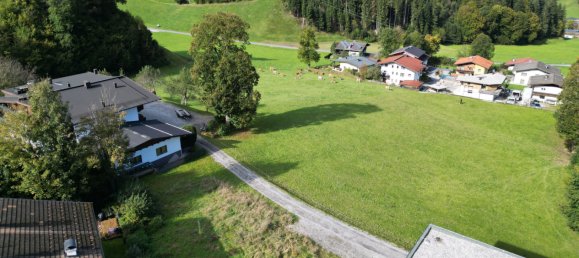  Land in Itter, Austria No. 143640 4