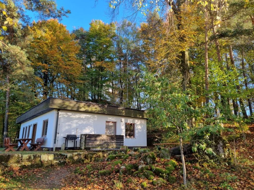 3 bedrooms Bungalow in Bayreuth, Germany No. 310069