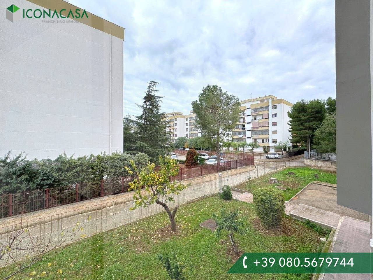 4-salle Propriété commerciale à Triggiano, Italy No. 19653