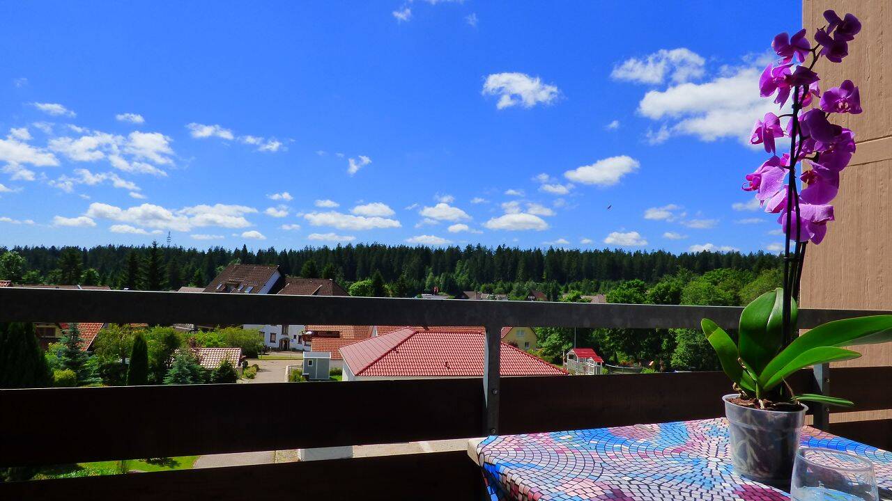 2غرفة شقة في Freudenstadt, Germany رقم 229191