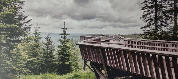 2غرفة شقة في Freudenstadt, Germany رقم 229191 13