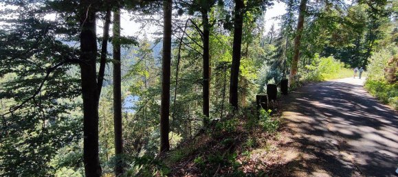 2غرفة شقة في Freudenstadt, Germany رقم 229191 15