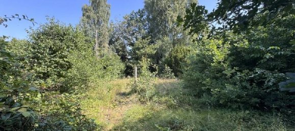 Casa de 5 dormitorios en Emsland, Germany No. 271822 5